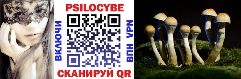Купить закладки  Лебедянь  Псилоцибиновые грибы прущие грибы 